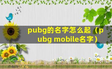 pubg的名字怎么起（pubg mobile名字）